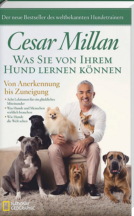 Was Sie von Ihrem Hund lernen können 