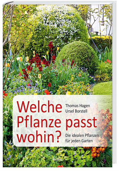 Welche Pflanze passt wohin ?