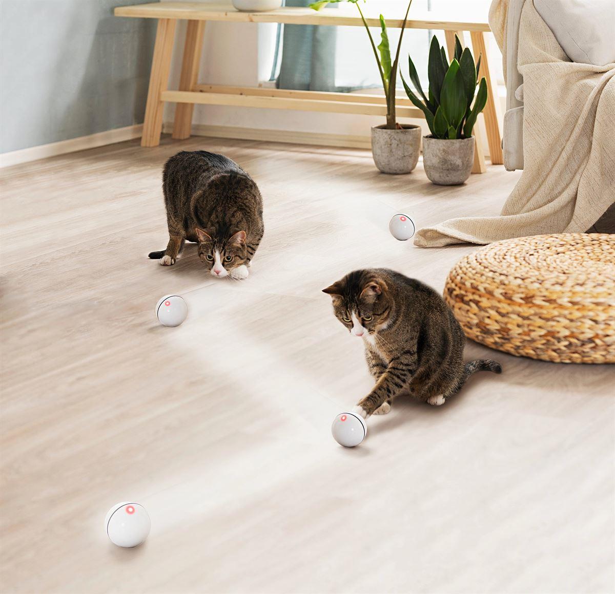 Interaktives Katzenspielzeug